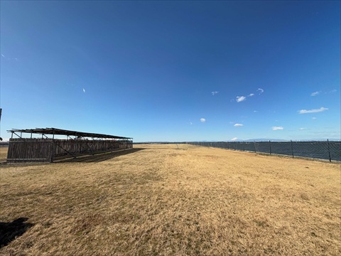 よしず横から柵まで<